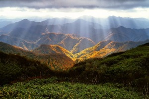 苹果4s现在能卖多少钱(在苹果官方花218元换电池到底值不值)