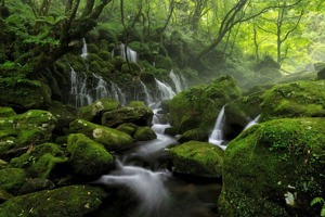 苹果4价格