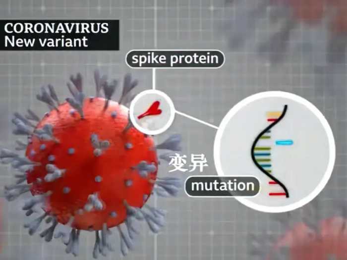 新冠病毒再次变异命名为JN.1，传播速度快已经被12个国家发现