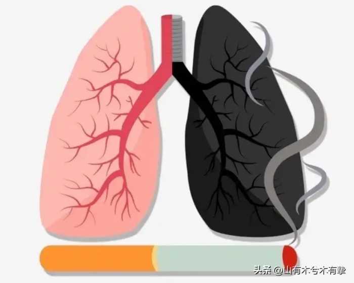 吸烟真的有害吗？英国烟草公司用48只狗做实验，3年每天吸100支烟