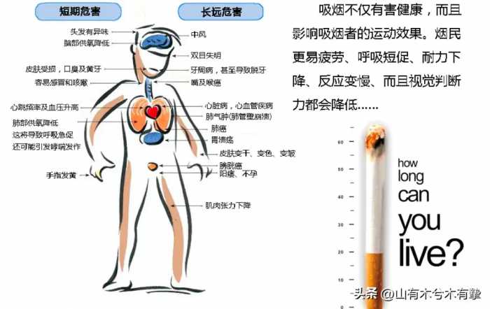 吸烟真的有害吗？英国烟草公司用48只狗做实验，3年每天吸100支烟