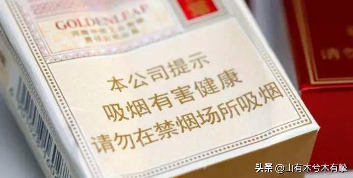 吸烟真的有害吗？英国烟草公司用48只狗做实验，3年每天吸100支烟