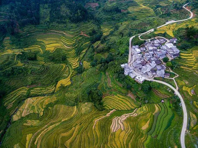 广西靖西---景色丰富，去1次能顶4省游