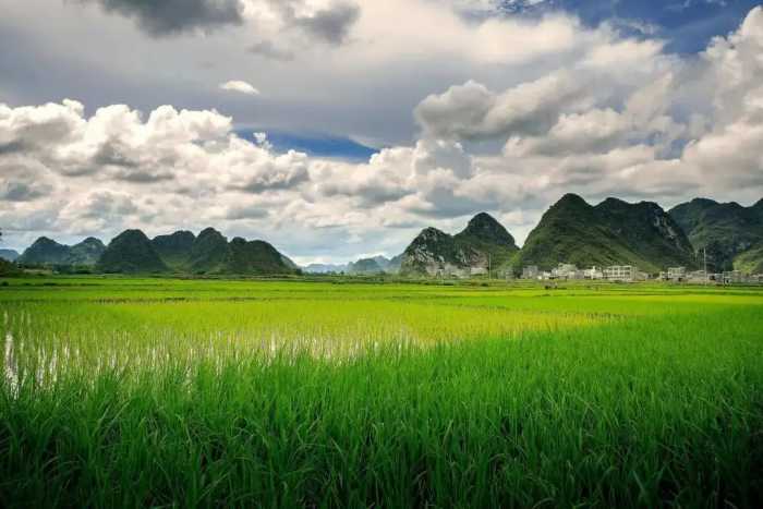 广西靖西---景色丰富，去1次能顶4省游