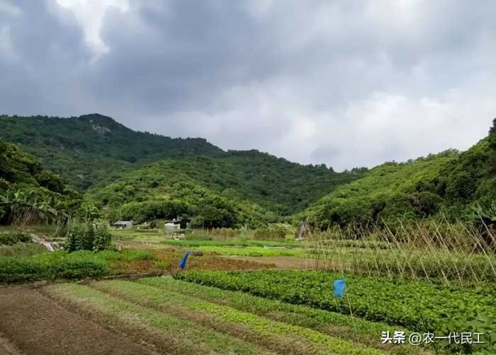 1988年，我退伍后留在广东打工，女房东对我说：小伙子，别累坏了