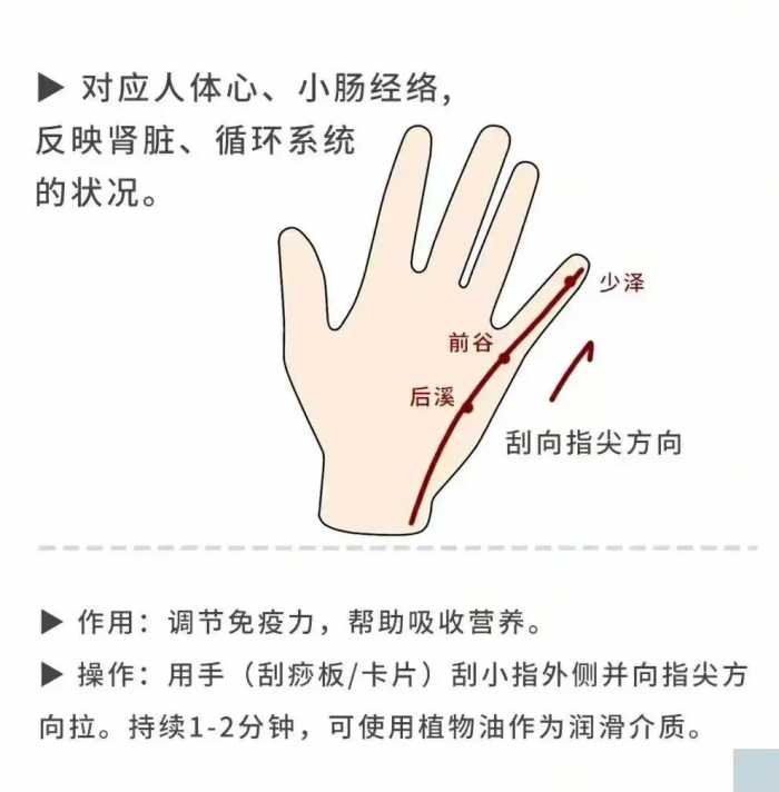 手掌穴位一览图，让你知道手掌有多重要。