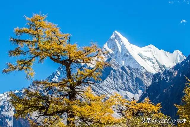 盘点中国5A景区风景20强，黄山第1，张家界第4，西湖未进前20