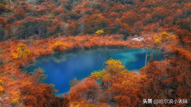 盘点中国5A景区风景20强，黄山第1，张家界第4，西湖未进前20