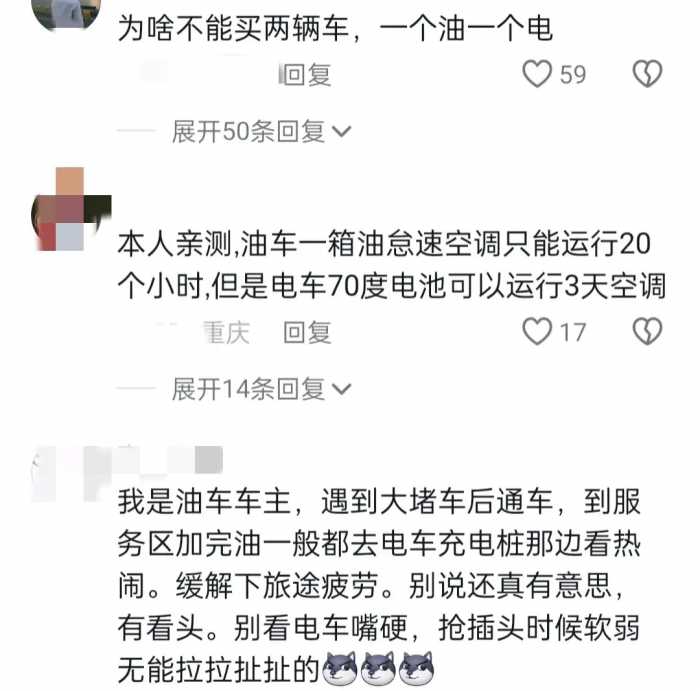 笑不活了，湖北的暴雪撕下了新能源汽车的遮羞布，笑死在评论区！