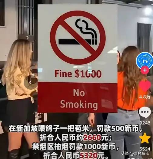 第一批免签去新加坡旅游的人，快破产了！有人地铁喝水被罚2650元