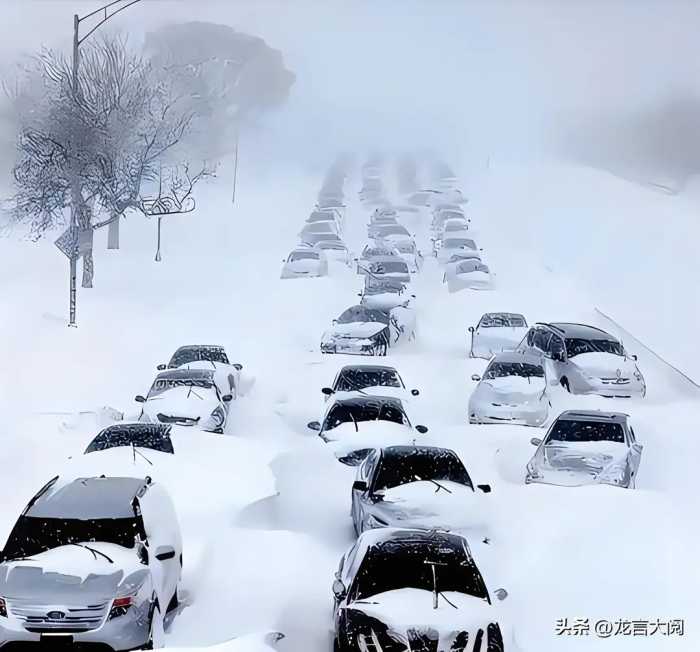 山东的一场大雪，戳穿了1500万新能源车主的谎言，差距一目了然！