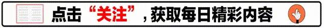 日本为何实体店能“干掉”电商，我国却不行？网友：原因太现实！