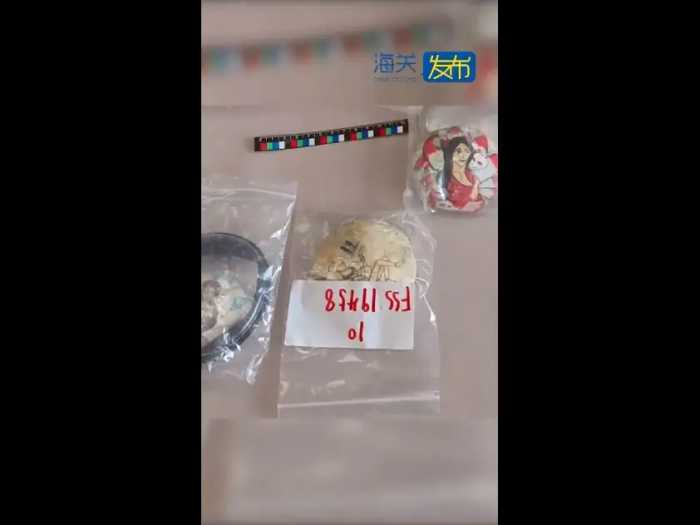 昆明邮局海关查获12件人体组织制品