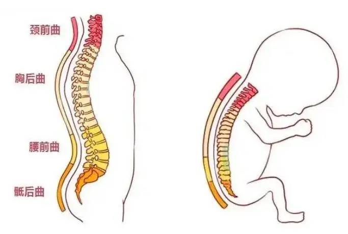 宝宝什么时候才能竖着抱？不是1个月也不是5个月，而是这个时间