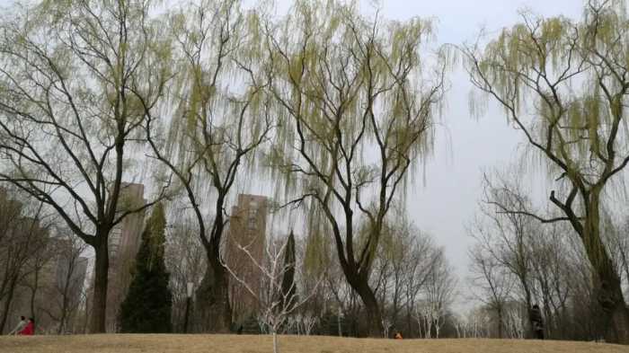 北京美女出差山东莱芜市，回去后她是这样评论山东莱芜市的！