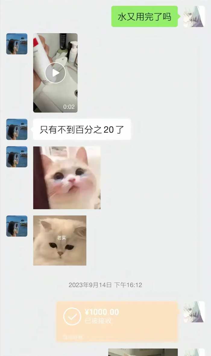 “胖猫”跳江后续：已火化，姐姐曝光原因，谭竹发文引众骂!