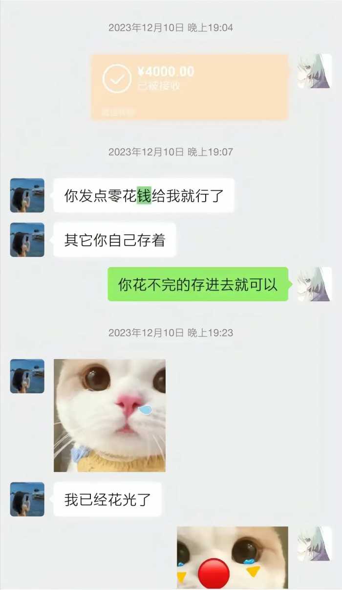 “胖猫”跳江后续：已火化，姐姐曝光原因，谭竹发文引众骂!