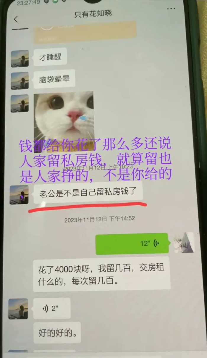 “胖猫”跳江后续：已火化，姐姐曝光原因，谭竹发文引众骂!