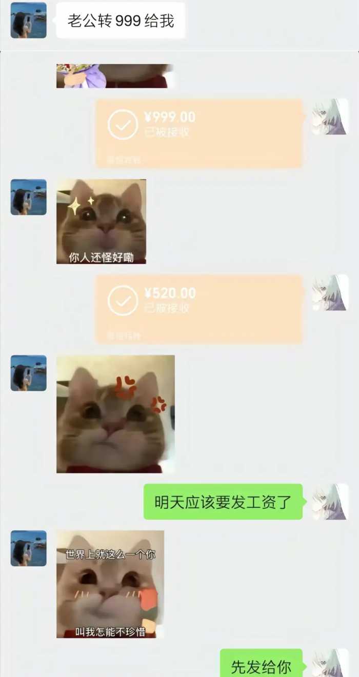 “胖猫”跳江后续：已火化，姐姐曝光原因，谭竹发文引众骂!