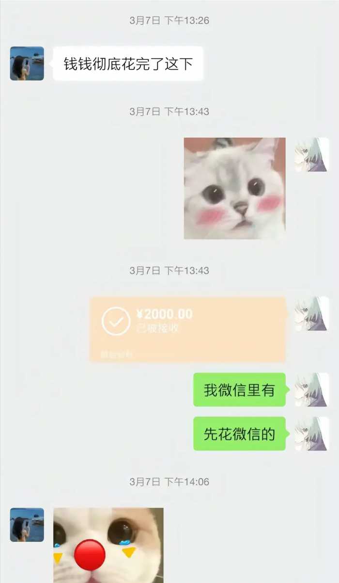 “胖猫”跳江后续：已火化，姐姐曝光原因，谭竹发文引众骂!