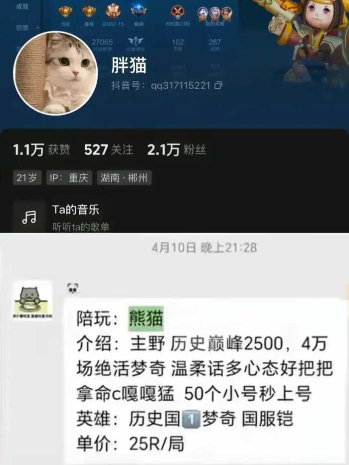 “胖猫”跳江后续：已火化，姐姐曝光原因，谭竹发文引众骂!