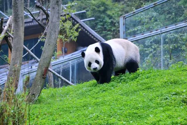 中国最美旅游胜地：看山8个，看水6个，看城市5个，看人文9个