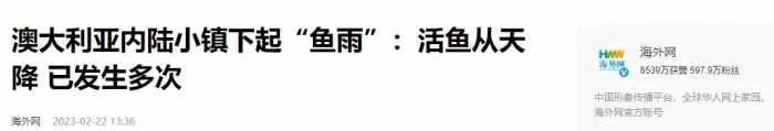 伊朗下罕见“鱼雨”：大量活鱼接连从天而降，背后原因是什么？