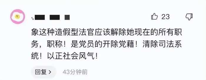 司法界大地震！中院副院长论文惊天造假！南大调查坐实