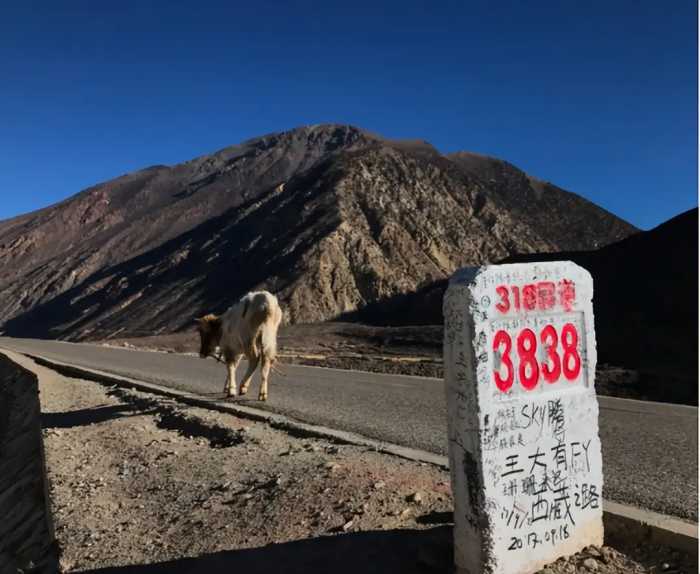 川藏线上那么多废弃豪车，为何没人捡？车主嫌贵，路人怕被拖累