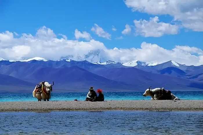 七八月最适合去旅游打卡的景点。