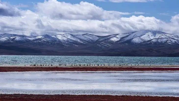 七八月最适合去旅游打卡的景点。