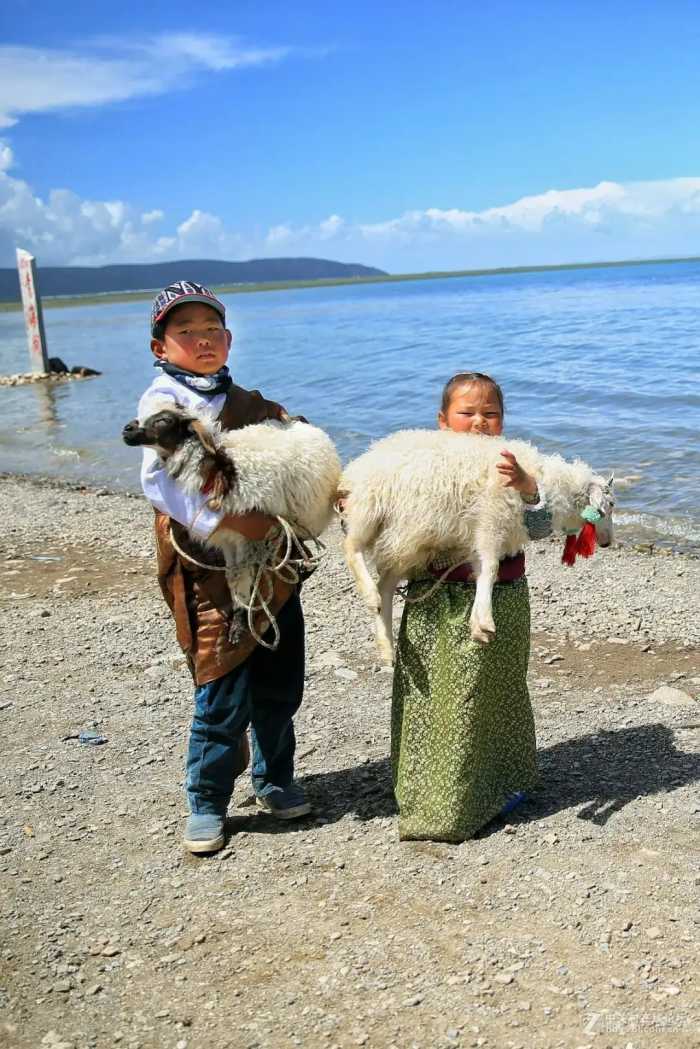 七八月最适合去旅游打卡的景点。