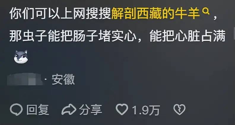 没想到藏区清澈的水有这么恐怖!网友:在川西喝了一口水少半个肝脏