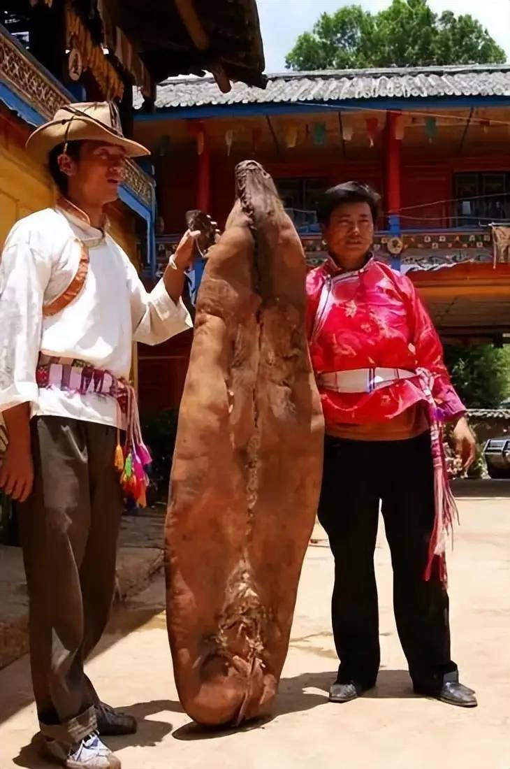 七八月最适合去旅游打卡的景点。