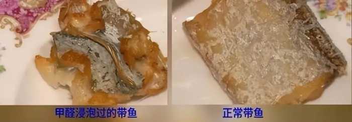 4种鱼已被列入“致癌名单”！吃多了癌症找上门，卖鱼的从来不吃