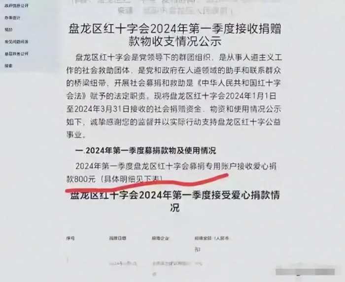 事大了！红十字会工资支出曝光：5人支出89万 3个月仅收800元捐款