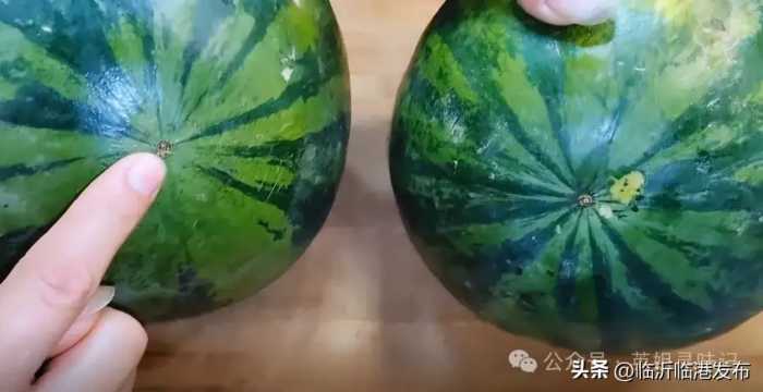 西瓜甜不甜，瞄一眼这里就知道，一挑一个准，老果农的方法太管用