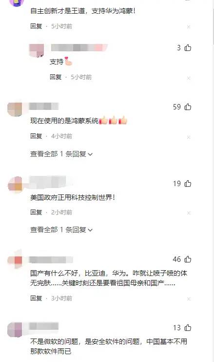 厉害！微软蓝屏风暴来袭，中国公共服务为何岿然不动？评论区沦陷