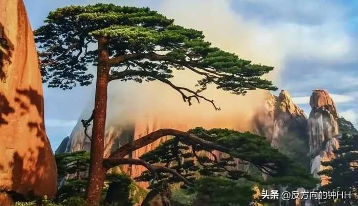 中国最美的五大景点排名出炉，黄山仅排第二，西湖居然没上榜