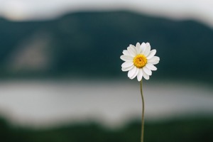 这些年五大刷机神器排名，这排名会有疑问？