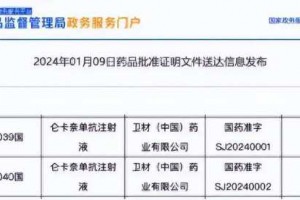 阿尔茨海默病新药2508元一瓶，年治疗费用约18万