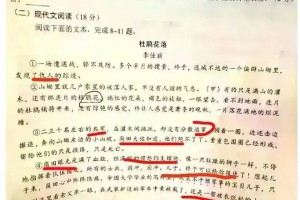 出手了，成都毒试卷，央视发声，作者被免职