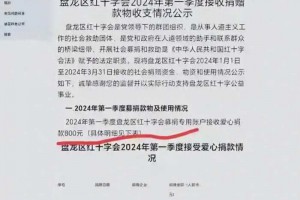 事大了！红十字会工资支出曝光：5人支出89万 3个月仅收800元捐款